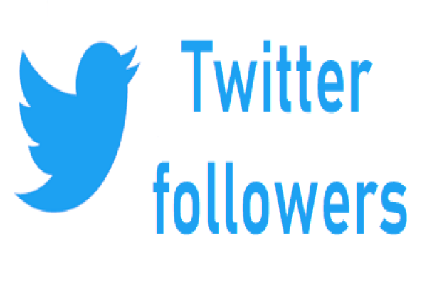 Buy Real Twitter Followers Online With Fast Delivery